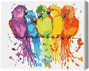 Tablou pe numere BrushMe Papagali colorati în cutie (BS28115)