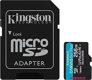 Карта памяти Kingston Canvas Cangas Go Plus 256GB (SDCG3/256GB)