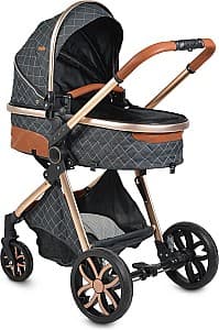 Carucior 2 in 1 Moni Alma Black