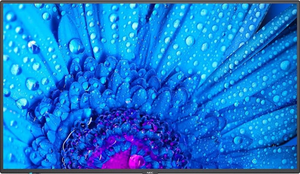 Panou informativ NEC 65" MultiSync M651 Black