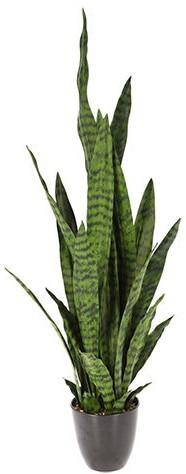 Искусственные цветы NVT Sansevieria (49465)