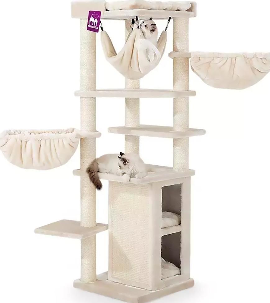 Ansamblu pentru pisici PETREBELS Kings&Queens Ramses 158 Cream