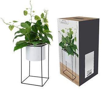 Искусственные цветы NVT 49422