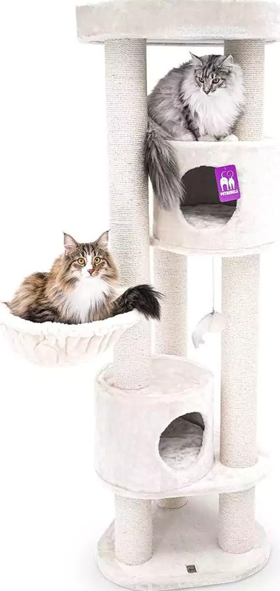 Ansamblu pentru pisici PETREBELS Kings&Queens Charlotte 180 Cream