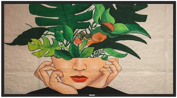 Panou informativ Philips 55BDL4650D