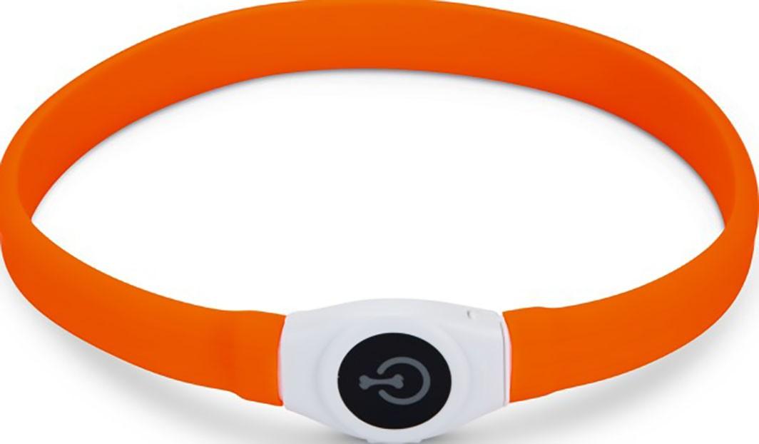 Zgarda pentru caini Beeztees 749872