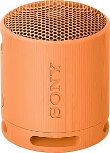 Портативная колонка Sony XB100 Orange (SRSXB100D.CE7)