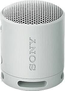 Портативная колонка Sony XB100 Light Grey (SRSXB100H.CE7)