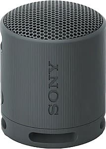 Портативная колонка Sony XB100 Black (SRSXB100B.CE7)