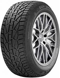 Шина для внедорожника Riken SUV SNOW 275/40 R20 106V