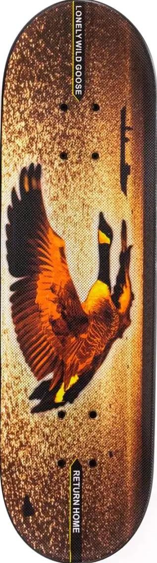 Skateboard Intex 808