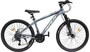 Bicicleta de munte Dkaln XL666A Grey