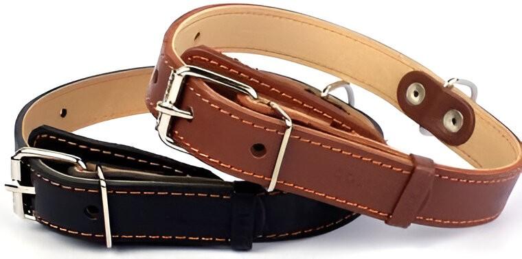 Zgarda pentru caini Import 43079