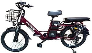 Bicicleta electrica Tronix BK23-3 (22)