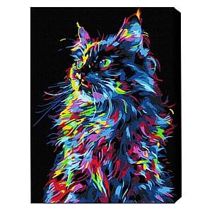 Картина по номерам BrushMe Волшебный кот(BSB0021FC)