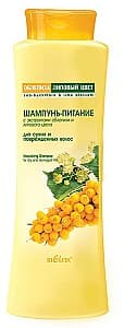 Шампунь для волос Bielita Nutrition