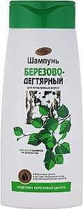 Шампунь для волос Bielita Birch and Tar for problem hair