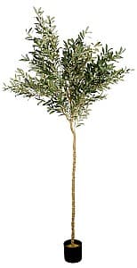 Flori artificiale DP Arbore de maslin 240 cm