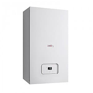 Газовый котел Protherm LYNX 30 MKO.-A