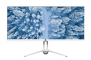 Monitor 2E D2621W