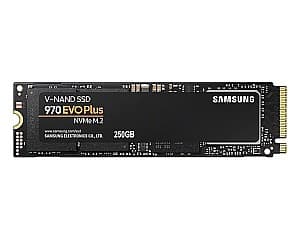 SSD накопитель Samsung 970 EVO Plus M.2 NVMe SSD 250GB (MZ-V7S250BW)