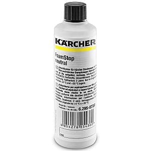 Аксессуар для пылесоса KARCHER 6.295-873