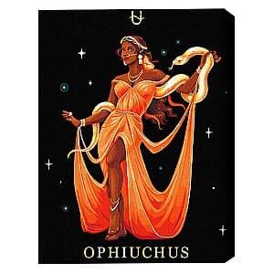 Tablou pe numere BrushMe Ophiuchus 40x50 BSB0045FC