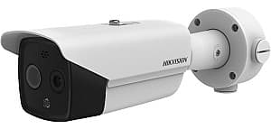 IP Камера Hikvision DS-2TD2617B-6/PA