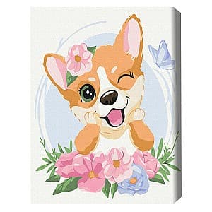 Tablou pe numere BrushMe Corgi în flori 30*40 сm (fără cutie) KBS7103FC