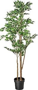 Flori artificiale IKEA Fejka interior/exterior 21cm Ficus Benjamina Exotica