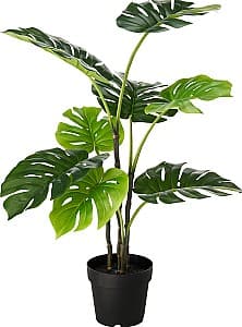 Flori artificiale IKEA Fejka interior/exterior 19 cm Monstera