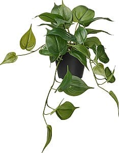 Flori artificiale IKEA Fejka interior/exterior Golden Pothos