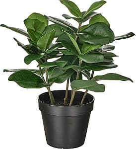 Flori artificiale IKEA Fejka interior/exterior 12cm Clusia