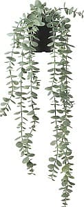 Flori artificiale IKEA Fejka interior/exterior 9cm Suspendat Eucalipt
