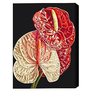 Tablou pe numere BrushMe Anthurium (în cutie)