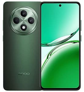 Мобильный телефон Oppo Reno 12 FS 5G 12/512GB Black Green