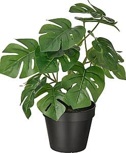 Flori artificiale IKEA Fejka interior/exterior 12cm Monstera