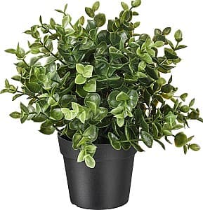 Flori artificiale IKEA Fejka 9cm Oregano