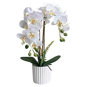 Flori artificiale VLM BF2312116