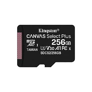 Карта памяти Kingston SDCS2/256GBSP