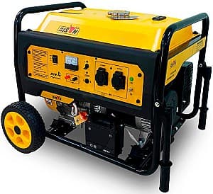 Generator electric de curent Bison BS9500E2R