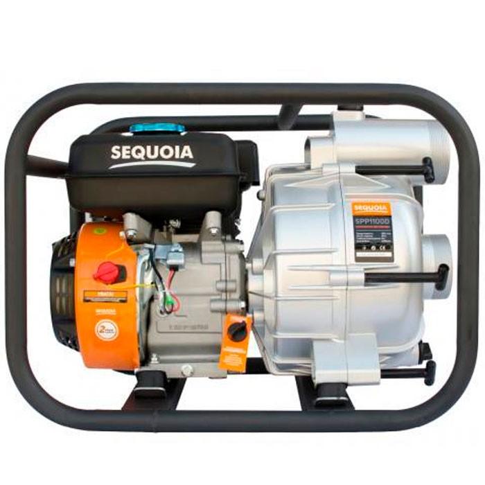 Pompă Sequoia SPP1100D
