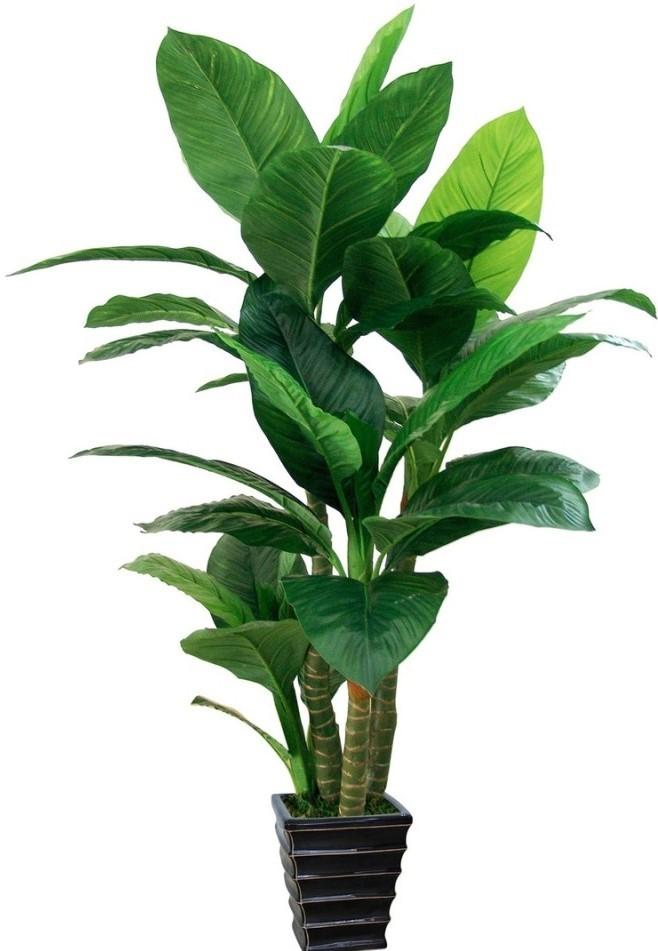 Искусственные цветы OEM/ODM Dieffenbachia Green