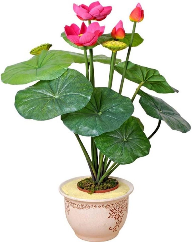 Искусственные цветы OEM/ODM Lotus 120cm Green/Pink