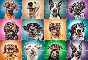 Puzzle Trefl 10462