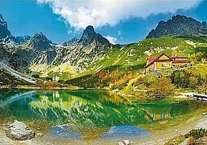 Puzzle Trefl 10606