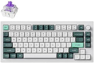 Tastatura gaming Keychron Q1 HE QMK Shell White (Q1H-P1)