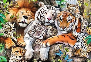 Puzzle Trefl 20152
