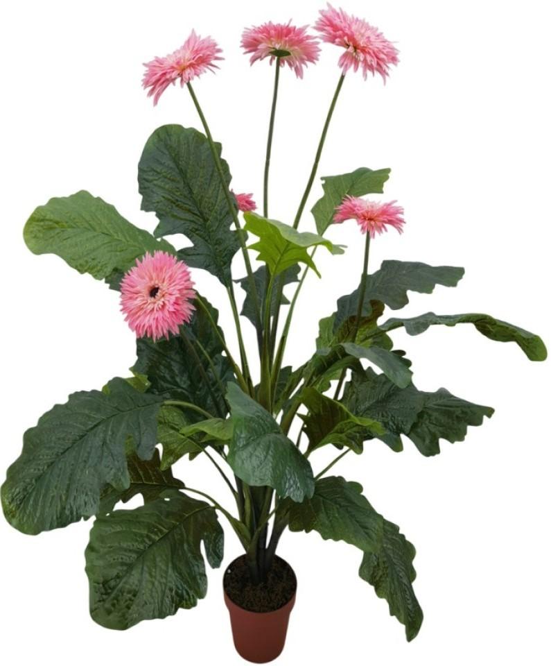 Искусственные цветы OEM/ODM Gerbera Jamesonii 70cm Green/Pink