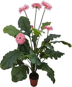 Искусственные цветы OEM/ODM Gerbera Jamesonii 70cm Green/Pink